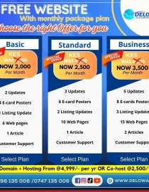 Free Website Packages plan