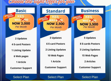 Free Website Packages plan